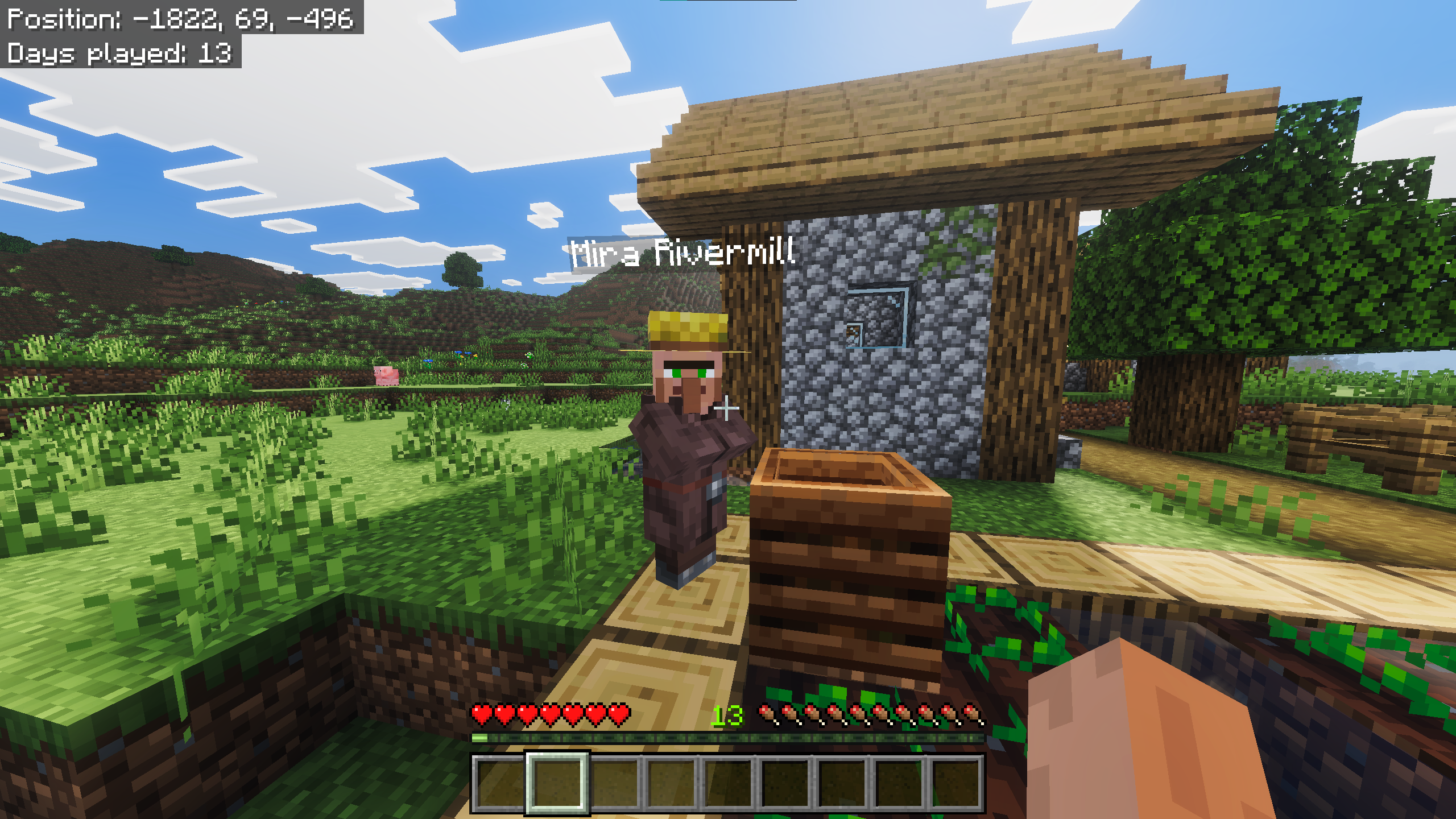 Villager with a custom name